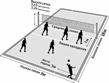 Волейбол, мужской олимпийский отбор: сборную России обыграли Нгапет и… Гребенников