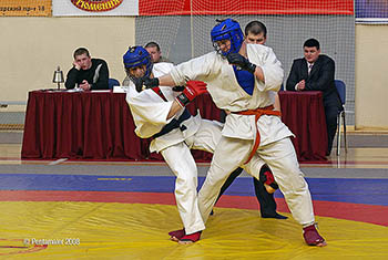 В Омске состоится бойцовский турнир «Битва чемпионов»